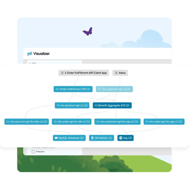 api-visualizer