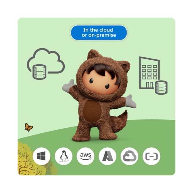 products-features-flexible-deployment-2